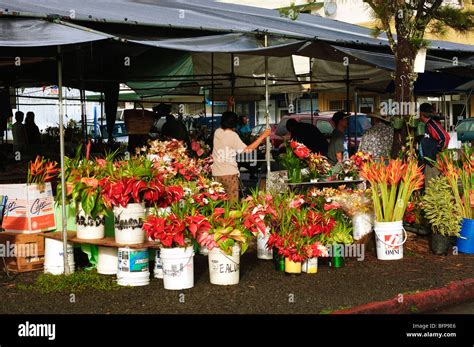 Hilo farmers market big island - The Hilo Farmers Market is also a great place to buy cacao pods when they’re in season (~August to November on the Big Island). Open them up, and enjoy …